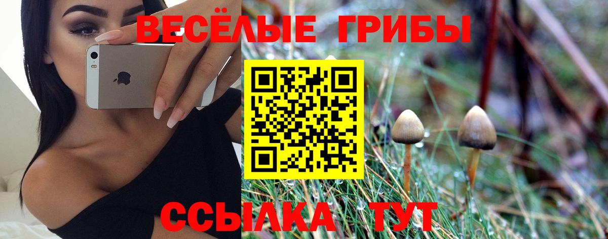 Галлюциногенные грибы мицелий Кизляр