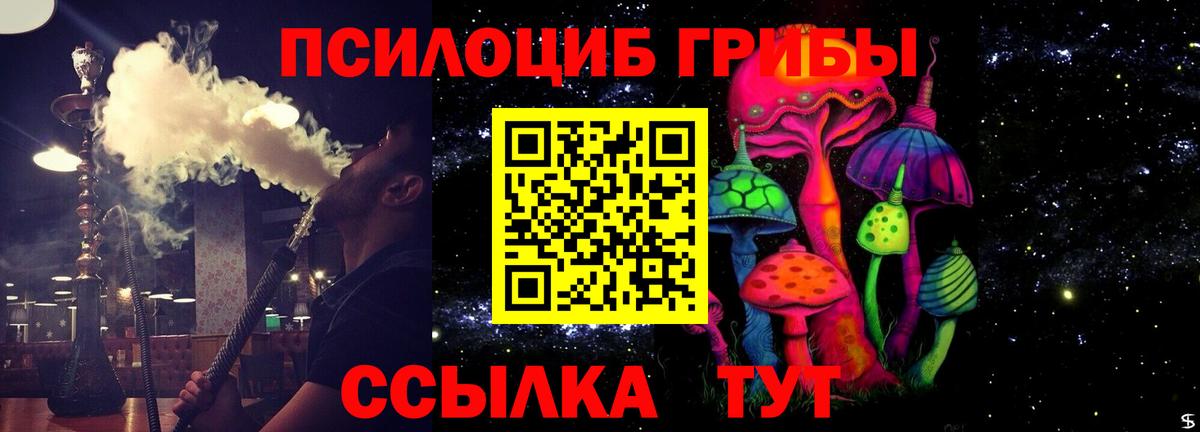 Галлюциногенные грибы ЛСД  Вход с VPN  Кизляр  Галлюциногенные грибы Psilocybine cubensis 